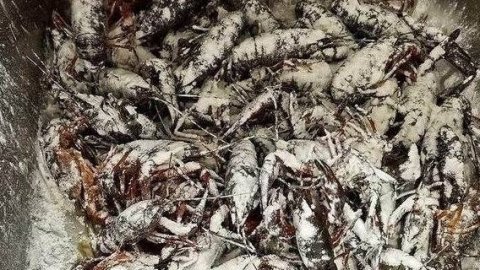 洗小龙虾用什么粉-洗小龙虾用什么浸泡2