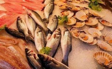 世界最好的海鲜有哪些-世界顶级海鲜排行榜1