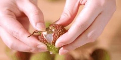 荔枝有哪些品种-荔枝的夏日吃法8