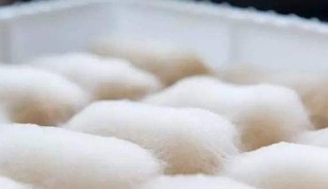 豆腐乳怎么做最好吃-豆腐乳的家庭制作方法4