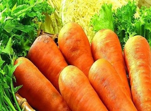 夏季排毒吃什么-推荐4种夏天排毒养颜食物4