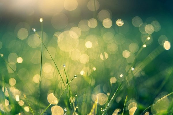 芒种养生知识-芒种养生注意事项1