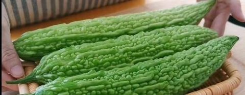 凉瓜炒牛肉是哪里的菜-凉瓜炒牛肉的做法1