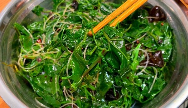 夏天常见的野菜有哪些-夏天囤什么菜冬天吃9