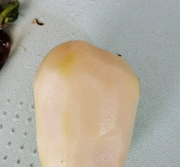 猴腿菜又叫什么-猴腿菜的功效与作用和做法3