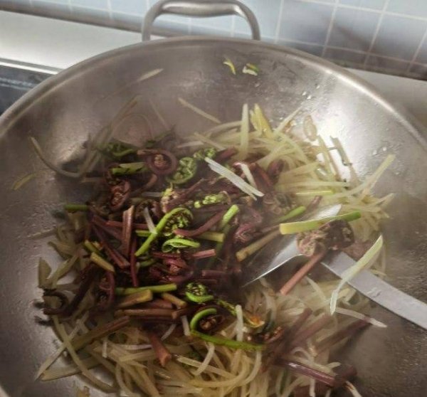 猴腿菜又叫什么-猴腿菜的功效与作用和做法15
