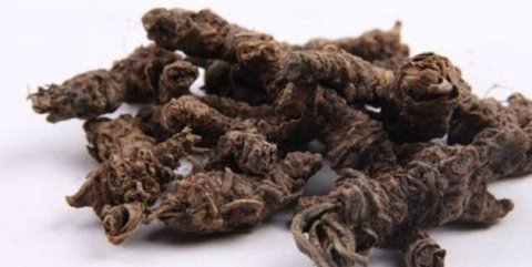 蜘蛛香是什么药-蜘蛛香的...