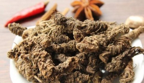 蜘蛛香是什么药-蜘蛛香的用途与功效4