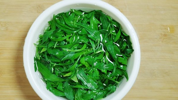 什么是小蓬草-小蓬草的做法3
