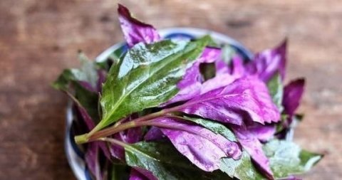 紫背菜怎么做好吃-紫背菜...