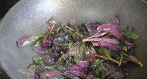 紫背菜怎么做好吃-紫背菜的功效和作用6