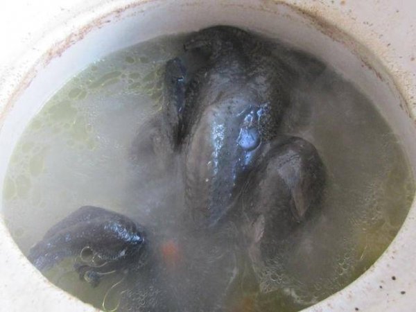 夏季湿热该如何养生-夏季湿热的人吃什么好7