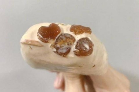 网红雪糕有哪些-网红雪糕叫什么名字1