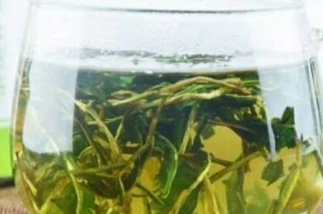 什么情况下喝蒲公英-喝蒲公英的注意事项3