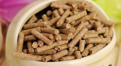 给兔子吃什么食物-如何选兔粮4