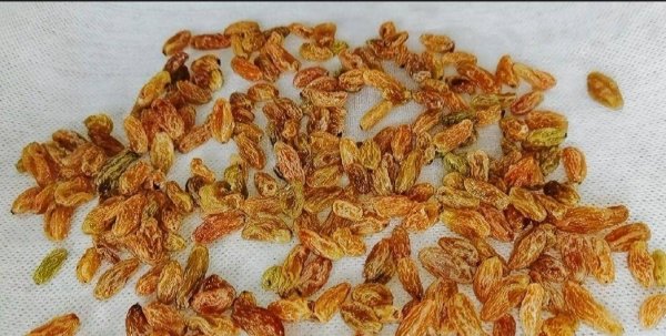葡萄干养生吗-醋泡葡萄干有什么功效和作用6