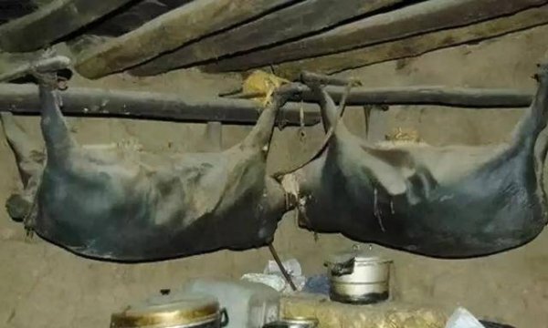 臭猪肉是哪个少数民族的特产-臭猪肉的功效2