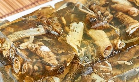 各地奇怪的美食-中国各地的奇葩美食2