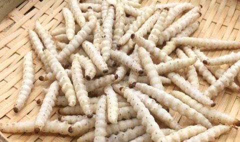 各地奇怪的美食-中国各地...
