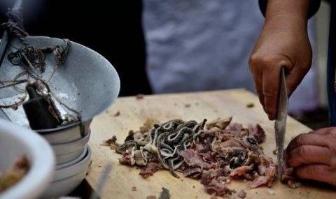 各地奇怪的美食-中国各地的奇葩美食9