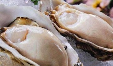 牡蛎和生蚝的区别-牡蛎和生蚝的区别在哪里2