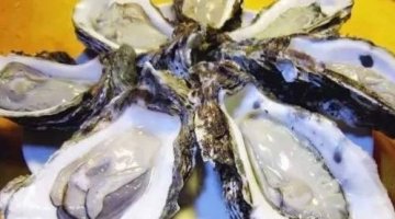 牡蛎和生蚝的区别-牡蛎和生蚝的区别在哪里4