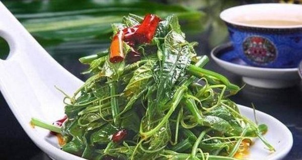 丝瓜尖怎么凉拌好吃-凉拌丝瓜尖怎么做4