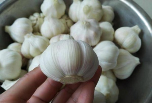 糖醋蒜头的腌制方法-糖醋蒜头要泡多少时间能吃2