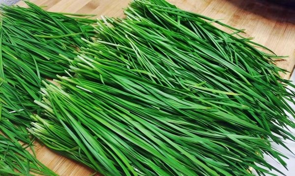 腌韭菜的最佳方法-腌韭菜放多少盐合适7