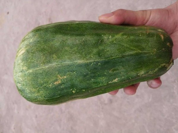 菜瓜别名叫什么-菜瓜的功...