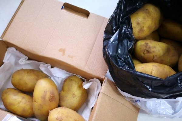 超市里的土豆为什么不发芽-土豆在什么情况下不发芽8