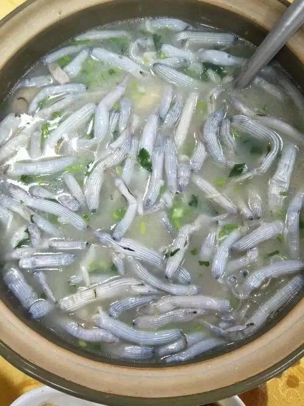沙虫是什么东西-沙虫又叫什么4