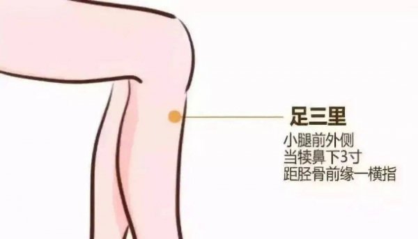 脾胃虚寒对身体有什么影响-夏天怎么调理脾胃8