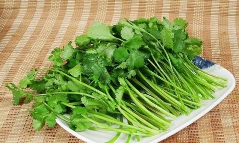 香菜怎么保存-香菜的吃法有哪些1
