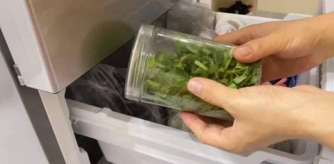 香菜怎么保存-香菜的吃法有哪些6
