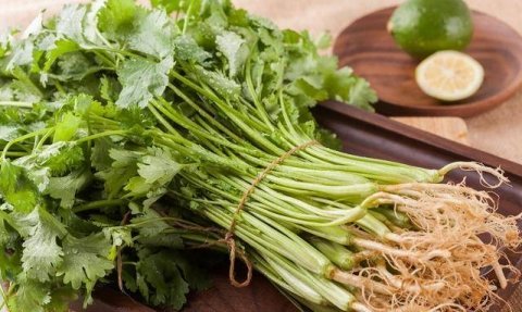 香菜怎么保存-香菜的吃法有哪些11