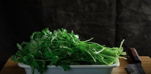 香菜怎么保存-香菜的吃法有哪些9
