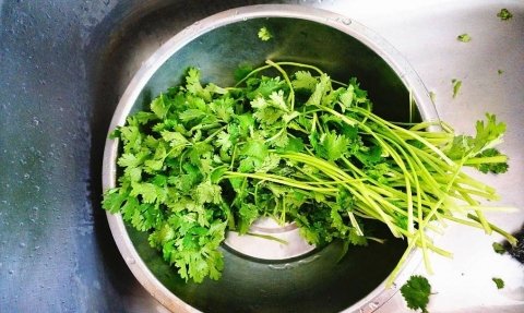 香菜怎么保存-香菜的吃法有哪些15
