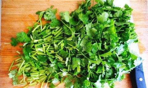 香菜怎么保存-香菜的吃法有哪些16