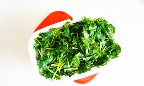 香菜怎么保存-香菜的吃法有哪些17