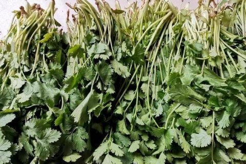 香菜怎么保存-香菜的吃法有哪些19