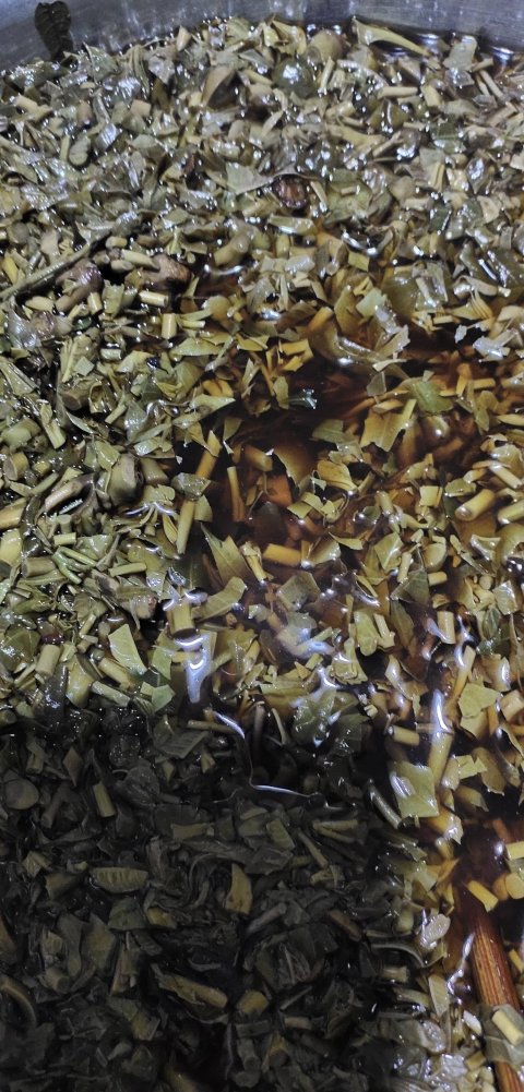 香菜怎么保存-香菜的吃法有哪些33