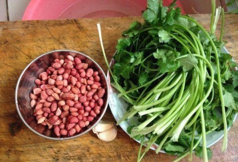 香菜怎么保存-香菜的吃法有哪些38