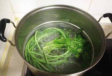 香菜怎么保存-香菜的吃法有哪些39