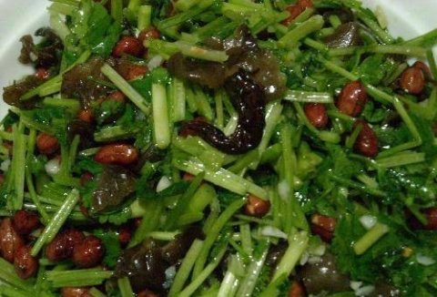 香菜怎么保存-香菜的吃法有哪些43