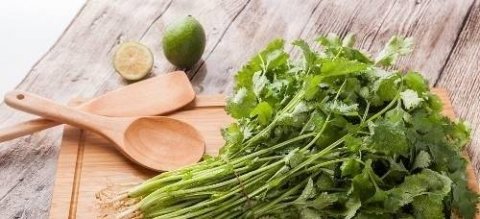 香菜的功效与作用-什么人...