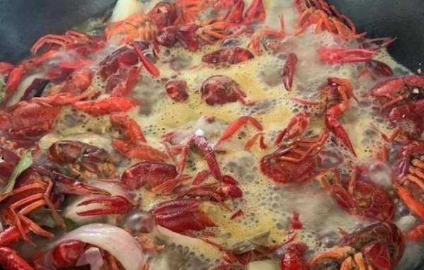 龙虾青壳和红壳是一个品种吗-青壳和红壳小龙虾的区别5