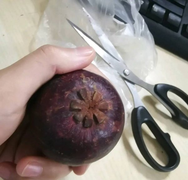 7月适合吃的水果有哪些-7月的水果推荐12