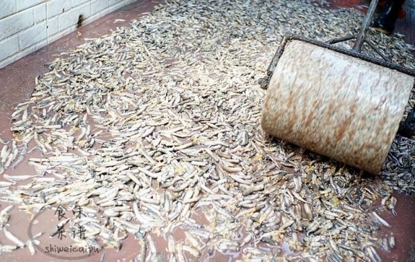 沙虫怎么吃-沙虫的做法大全6