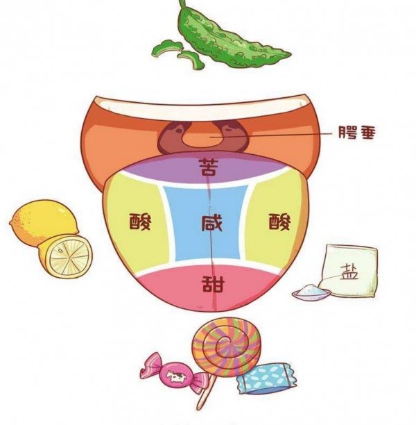 为什么有些人不喜欢吃青椒-青椒怎么做才好吃2